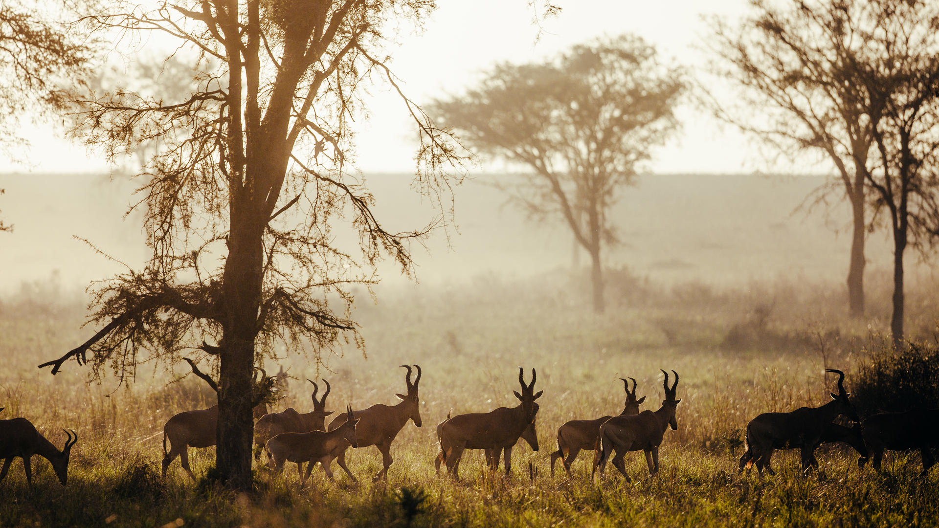 15 days discovery of Uganda & Tanzania