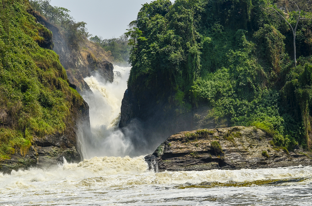4-Day Murchison Falls & Budongo Forest Safari
