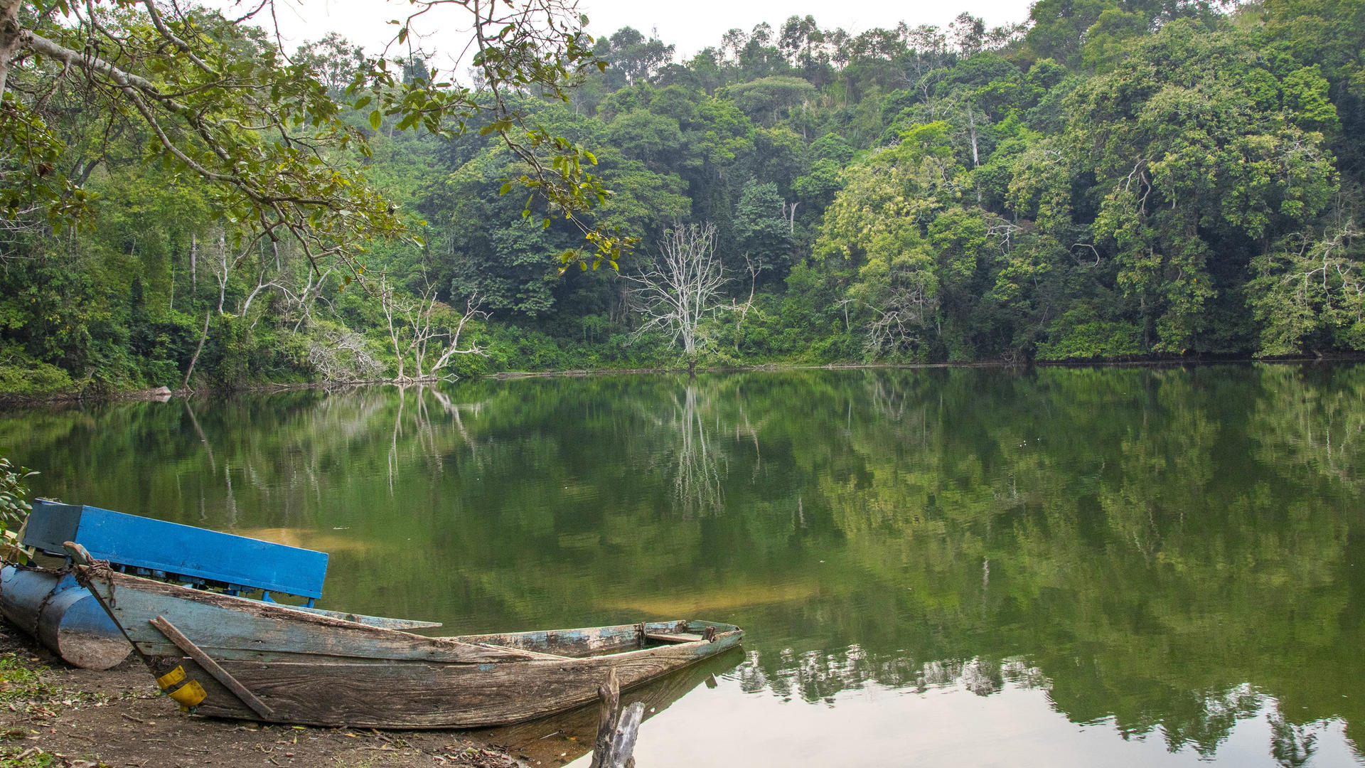 16 Days of Intensive Adventurous Safari through Magical Uganda and Rwanda